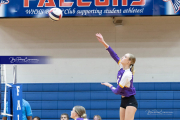 Girls Volleyball North Henderson at West Henderson (BR3_4313)