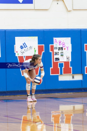 Girls Volleyball North Henderson at West Henderson (BR3_4349)
