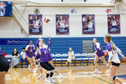 Girls Volleyball North Henderson at West Henderson (BR3_4422)