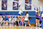 Girls Volleyball North Henderson at West Henderson (BR3_4475)