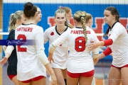 Volleyball Brevard v Franklin (BR3_0180)