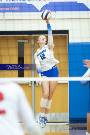 Volleyball Brevard v Franklin (BR3_0210)