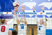 Volleyball Brevard v Franklin (BR3_0240)