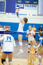 Volleyball Brevard v Franklin (BR3_0344)