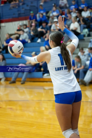 Volleyball Brevard v Franklin (BR3_0354)