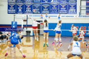 Volleyball Brevard v Franklin (BR3_0421)