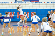 Volleyball Brevard v Franklin (BR3_0444)