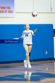 Volleyball Brevard v Franklin (BR3_0552)