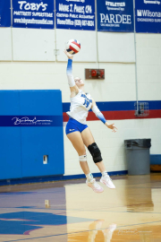 Volleyball Brevard v Franklin (BR3_0556)