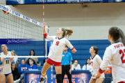 Volleyball Brevard v Franklin (BR3_0589)