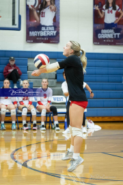 Volleyball Brevard v Franklin (BR3_0768)