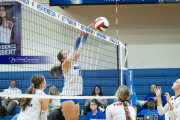 Volleyball Brevard v Franklin (BR3_0773)