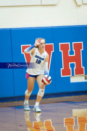 Volleyball Brevard v Franklin (BR3_0781)