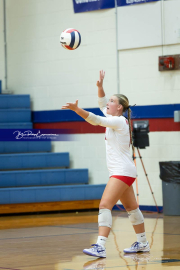 Volleyball Brevard v Franklin (BR3_0847)