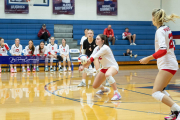 Volleyball Brevard v Franklin (BR3_0887)