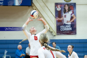 Volleyball Brevard v Franklin (BR3_0896)