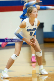 Volleyball Brevard v Franklin (BR3_0926)