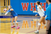Volleyball Brevard v Franklin (BR3_1092)