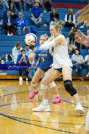 Volleyball Brevard v Franklin (BR3_1136)