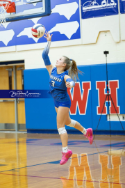 Volleyball Brevard v Franklin (BR3_1175)