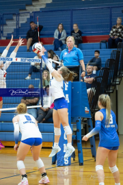 Volleyball Brevard v Franklin (BR3_1293)