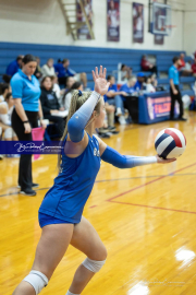Volleyball Brevard v Franklin (BR3_1491)