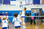 Volleyball Brevard v Franklin (BR3_1506)