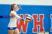 Volleyball Brevard v Franklin (BR3_1560)