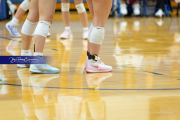 Volleyball Brevard v Franklin (BR3_1590)