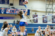 Volleyball Brevard v Franklin (BR3_1617)