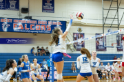 Volleyball Brevard v Franklin (BR3_1660)