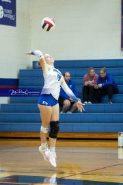 Volleyball Brevard v Franklin (BR3_1709)