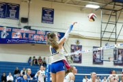 Volleyball Brevard v Franklin (BR3_1721)