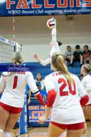 Volleyball Brevard v Franklin (BR3_1763)