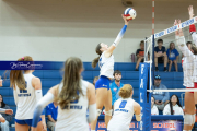 Volleyball Brevard v Franklin (BR3_1911)
