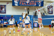 Volleyball Brevard v Franklin (BR3_2247)