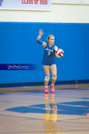Volleyball Brevard v Franklin (BR3_2297)