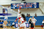 Volleyball Brevard v Franklin (BR3_2370)