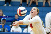 Volleyball Brevard v Franklin (BR3_2464)