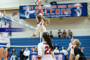 Volleyball Brevard v Franklin (BR3_2516)