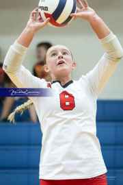 Volleyball Brevard v Franklin (BR3_2614)