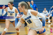 Volleyball Brevard v Franklin (BR3_9724)