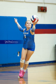 Volleyball Brevard v Franklin (BR3_9743)