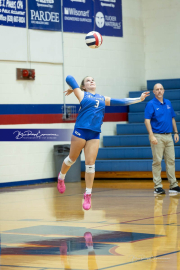 Volleyball Brevard v Franklin (BR3_9750)