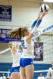 Volleyball Brevard v Franklin (BR3_9762)