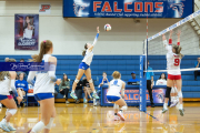 Volleyball Brevard v Franklin (BR3_9815)