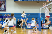 Volleyball Brevard v Franklin (BR3_9854)