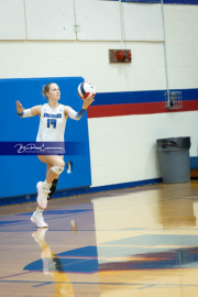 Volleyball Brevard v Franklin (BR3_9893)