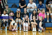 Girls Volleyball Franklin at West Henderson (BR3_2711) Girls Volleyball Franklin at West Henderson (BR3_2711)