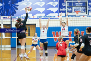 Girls Volleyball Franklin at West Henderson (BR3_3360) Girls Volleyball Franklin at West Henderson (BR3_3360)